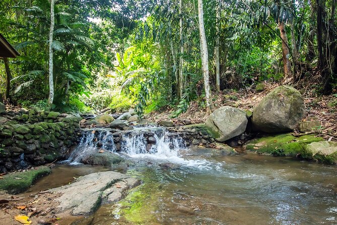 Phuket Jungle Trekking Experience at Khao Phra Taew National Park - Fitness and pacing: how hard is this really?