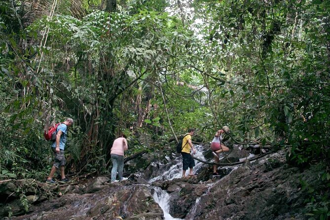 Phuket Jungle Trekking Experience at Khao Phra Taew National Park - What to bring for a comfortable jungle shower day