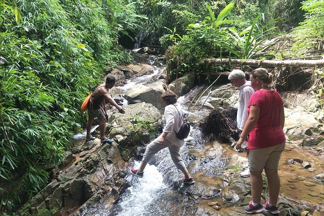 Phuket Jungle Trekking Experience at Khao Phra Taew National Park - The 7:30am trek flow: from pickup to waterfall and back
