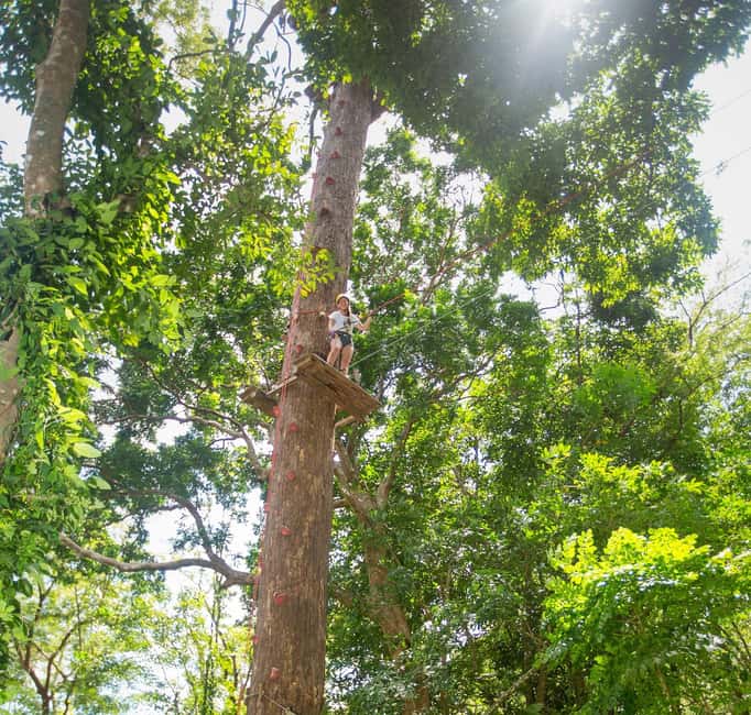 Phuket: Jungle Xtreme Adventure Park Entry Ticket - The free-fall jump: short drop, big adrenaline