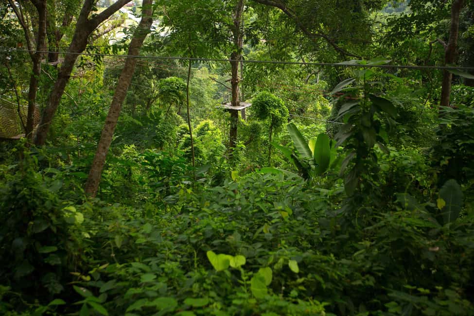 Phuket: Jungle Xtreme Adventure Park Entry Ticket - Languages: instruction support for many visitors