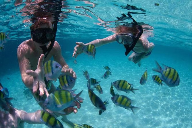 PHUKET-Phi Phi Island-Khai Island-Lunch by Sea Angel Speed Boat - What’s Included on Sea Angel: Practical Comfort Wins
