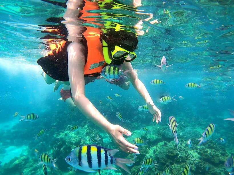 Phuket: Phi Phi Islands and Maya Bay Day Trip with Lunch - What to Pack for a Wet, Sun-Heavy Day on the Water