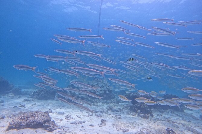 Phuket: Scuba Dive Racha and Coral Islands with Snorkeling Tour - The 8-Hour Flow: Pickup, Pier, Two Islands, Back Again