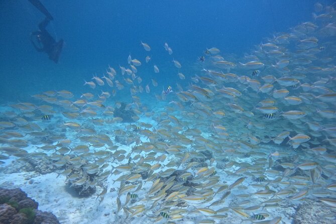 Phuket: Scuba Dive Racha and Coral Islands with Snorkeling Tour - Should You Book This Phuket Racha and Coral Islands Tour?