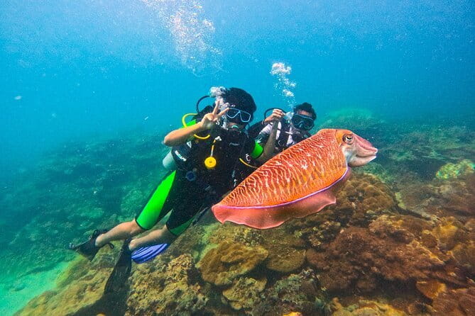Phuket Scuba Diving Maiton Private Island Small Group or Snorkel - Key points before you go