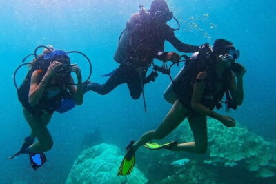 Phuket Scuba Diving Maiton Private Island Small Group or Snorkel - The Ko Mai Thon schedule: pickup through hotel return