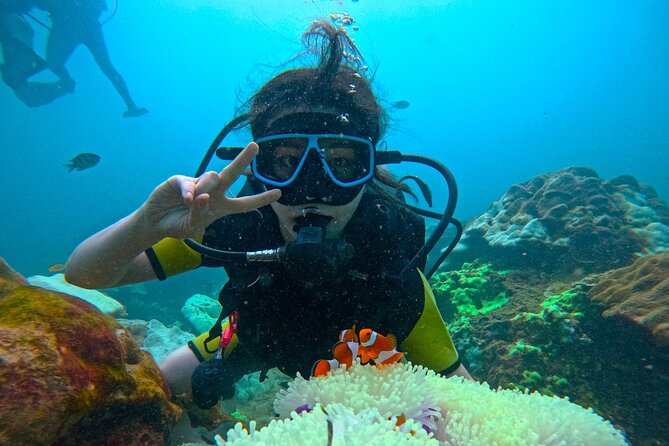 Phuket Scuba Diving: Racha Island Or Maiton Island For All Levels - Beginner-friendly options: what happens if you have no certification