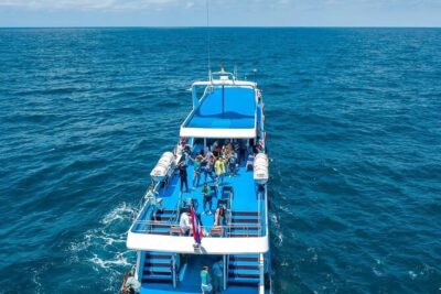 Phuket To Phi Phi Island By Phi Phi Cruiser - Include Pickup Transfer - Check-In At Rassada Pier: Keep It Simple, But Show Up Early