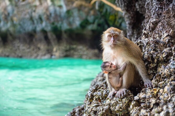 Phuket: Wow Andaman Snorkeling Trip to Phi Phi & Bamboo Islands - Maya Bay: The Icon, the Rules, and Why You Still Go