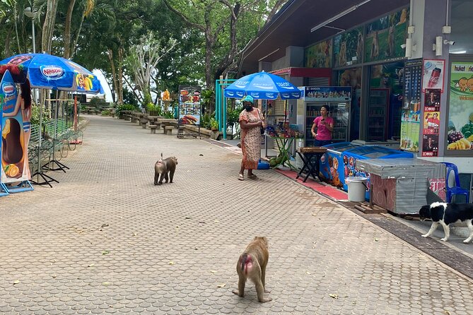 Private local city tour with english speaking driver - Khao Rang (Monkey Hill): viewpoints with a relaxed lunch-and-dinner vibe