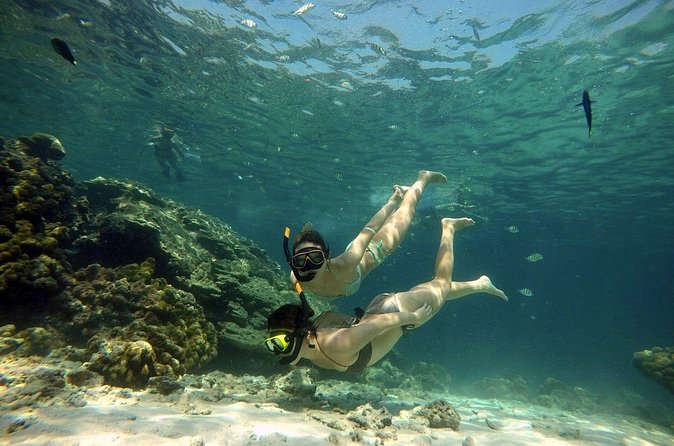 Private Speedboat Maiton, Racha, and Coral Islands Tour from Phuket - Coral Island (Koh Hae): Two Hours of Beach Time and Sea-Sport Options
