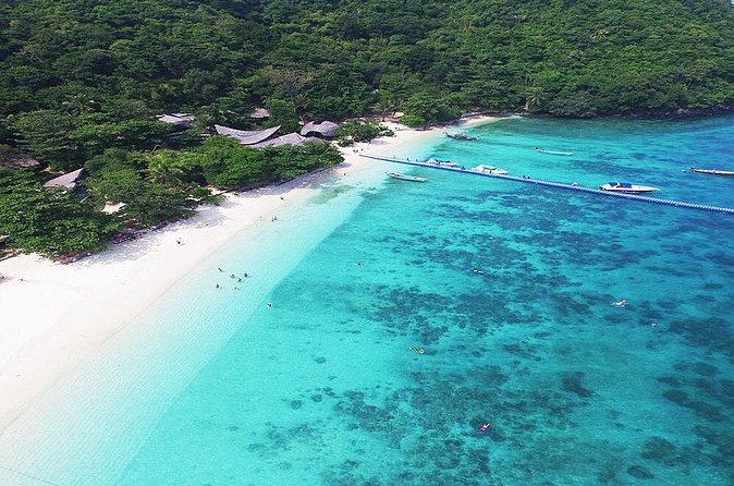 Private Speedboat Maiton, Racha, and Coral Islands Tour from Phuket - Dolphins, Fish, and Lunch: What Actually Makes the Day Feel Worth It