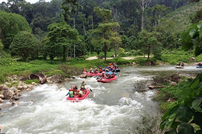 Rafting 7 km and ATV Adventure Tour with Lunch From Phuket - Should you book this Phuket rafting and ATV day?