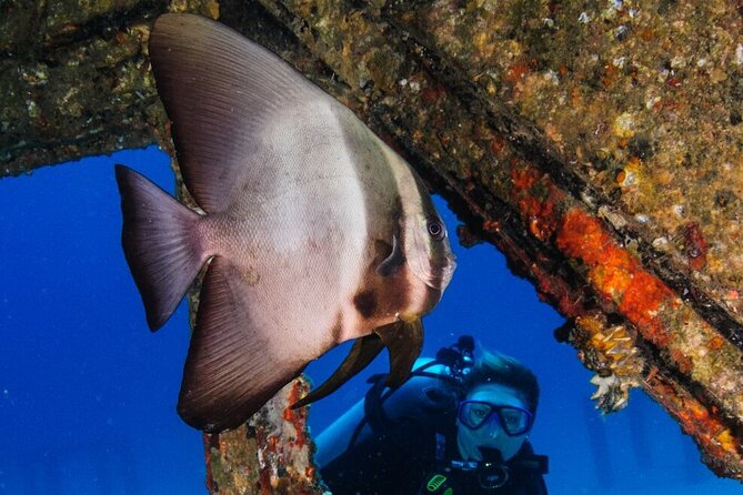 Refresher scuba diving trip, 3 dives at Racha Noi and Racha Yai - Ko Racha Noi: an easy restart with plenty to see