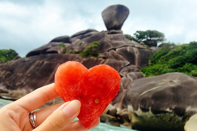 Similan Islands Snorkeling Day Tour from Phuket - Price and what you get for $94.51