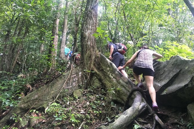 Small-Group Jungle Hiking Excursion in Khao Phra Teaw Park - Getting ready: shoes, swimwear, and the humidity reality