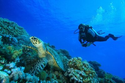 SSI | Padi Open Water Course in Phuket - Day 1 in Chalong: pool skills, gear setup, and safety habits