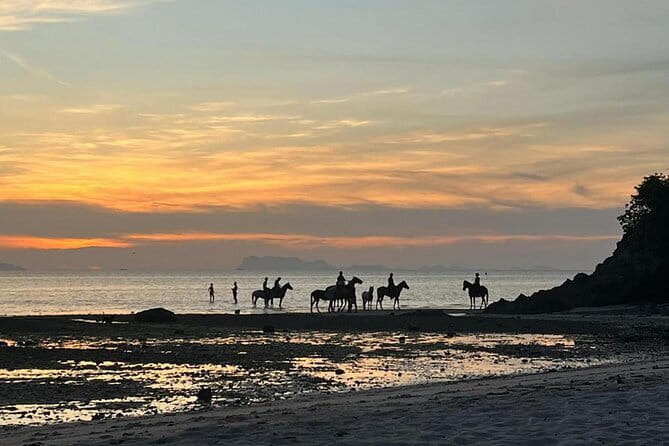 Sunset Beach Horseback Ride Phuket - Entering COLTS Horse Riding Phuket: what to plan before you mount