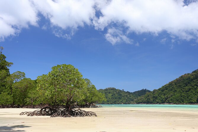 Surin Islands 2 Days 1 Night Trip from Phuket - Mai Ngam Beach: jungle walk, sunset time, and the best kind of downtime