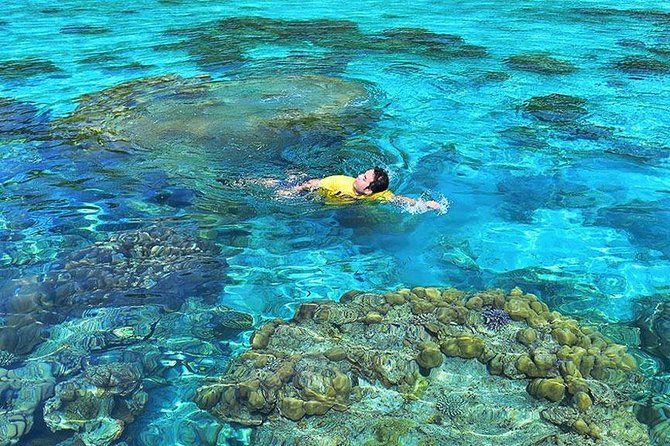 Surin Islands Snorkeling Day Trip By Love Andaman From Phuket - Group size, timing, and how to make the long day work