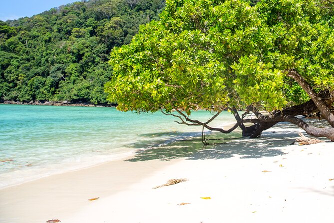 Surin Islands Snorkeling Trip from Phuket - Price and value: is $120.65 reasonable?