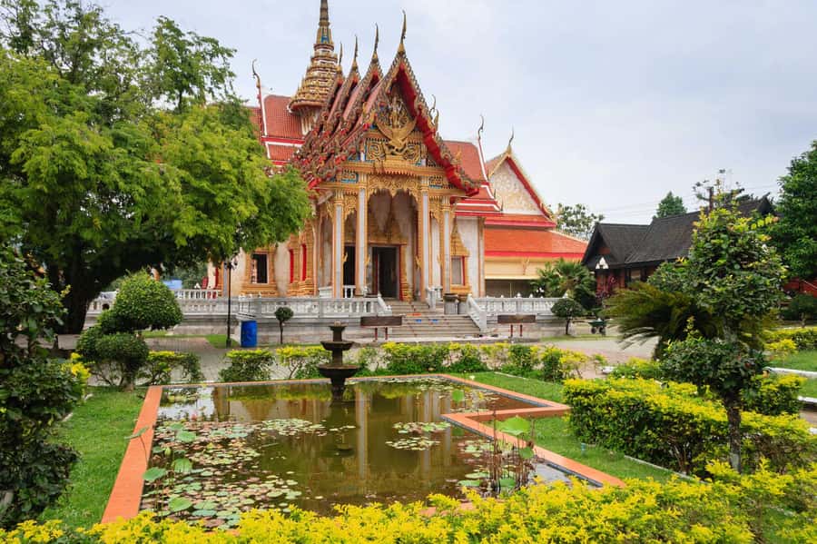 Temple and Jungle Trekking tour with Lunch at Farm-to-Table - Price and Logistics: Is $49 Good Value?