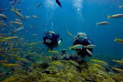 Try Scuba Diving - Where the day starts: Chalong Pier and the 8:00 am kickoff