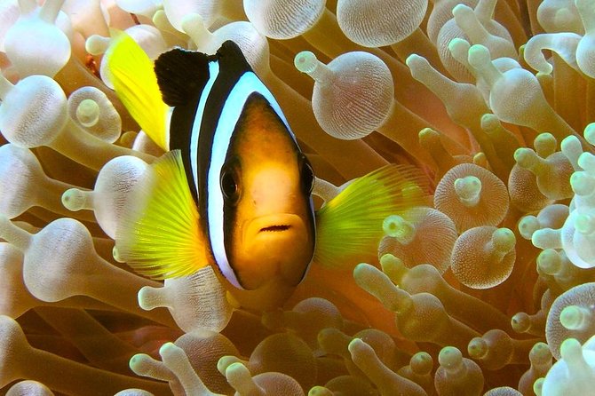 Try Scuba Diving - Boat day comfort: clean setup, relaxed seating, and real downtime