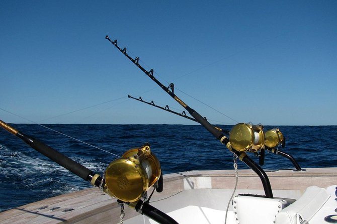 Ultimate Full-Day Big Game Fishing & Trolling Tour - Trolling vs. bottom fishing: how the day tries to cover its bets