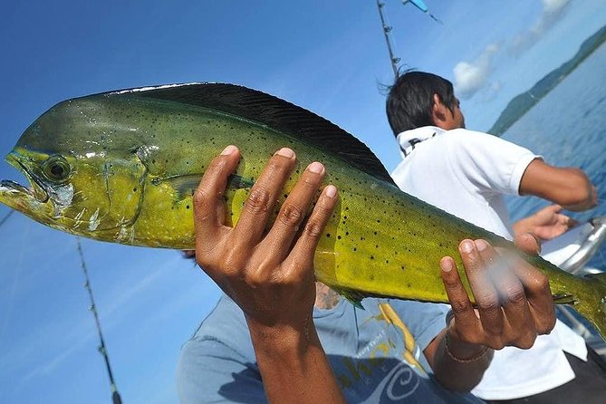 Ultimate Full-Day Big Game Fishing & Trolling Tour - Small “rules” that affect your comfort (and your photos)