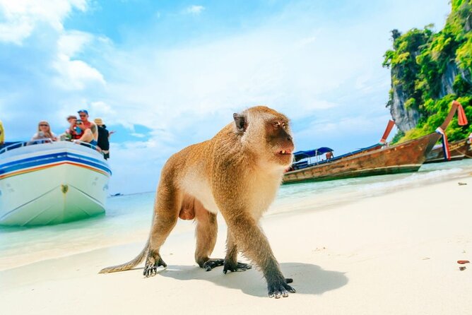 VIP Private Boat to Phi Phi Island: Snorkeling + Land Tour - Phi Phi Don Lunch at 1:00 PM: Where the Day Slows Down