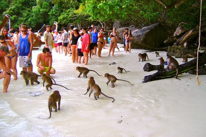 VIP Private Boat to Phi Phi Island: Snorkeling + Land Tour - Price and Value: Why $999 Can Make Sense for the Right Person