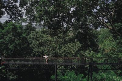 World C+ (Ziplines 10 Platforms + Roller + Sky Walk and World Set Menu ) - The Main Event: Zipline 400m Long + Roller Zipline 800m